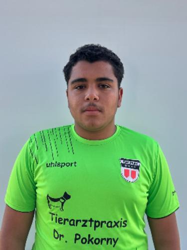Ahmad Alsadi