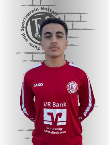 Mohamad Aljashi