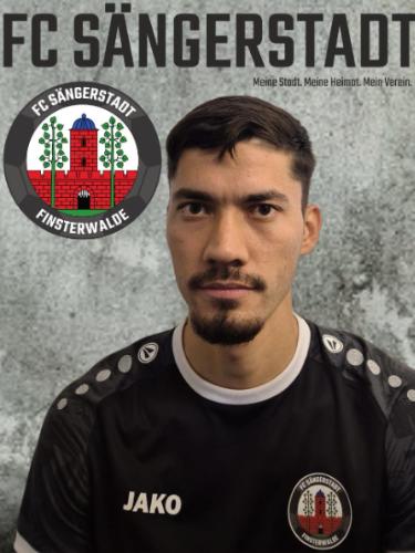 Mohammad Sajad Ahmadi