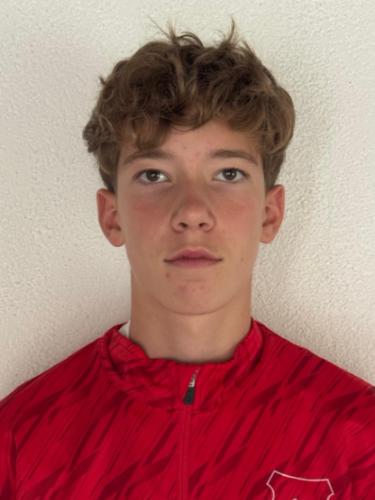 Luis Wehrle