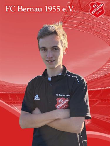 Ferdinand Manfred Eugen Sebastian Schwer