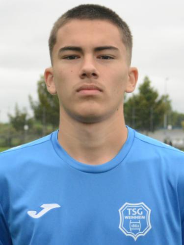 Danis Besic