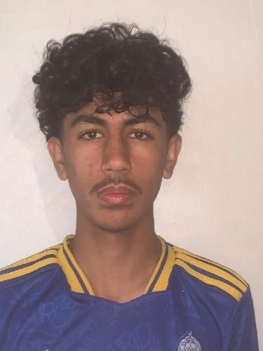 Bilal Alhussein