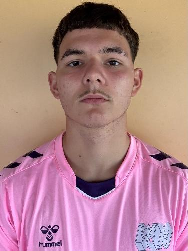 Milos Vlajic