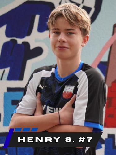 Henry Schweins