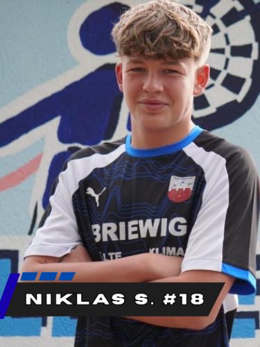 Niklas Schrewe