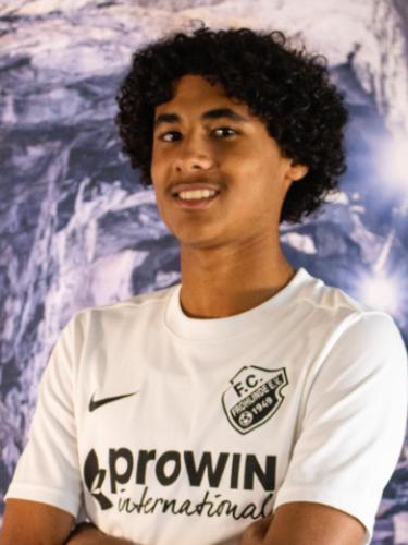 Vinicius Queiroz Alves