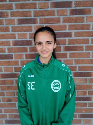 Arven Ferman Balasenee