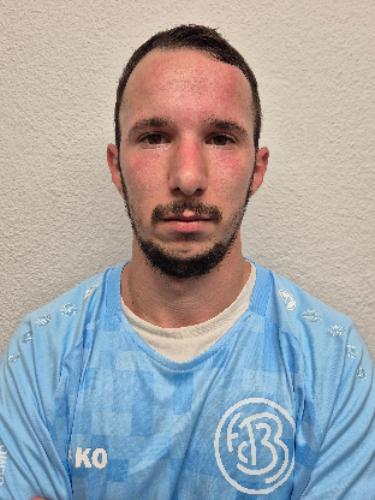 Ionel-Georgian Tudor