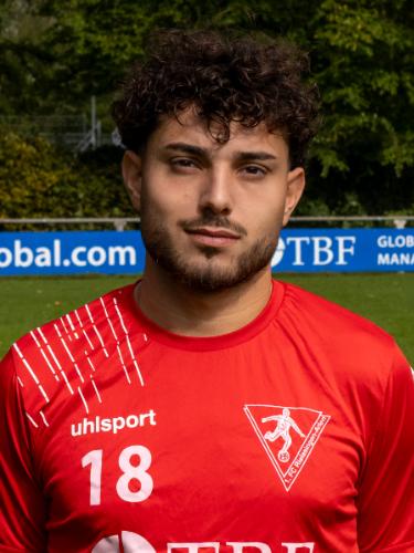 Giovanni Raffaele