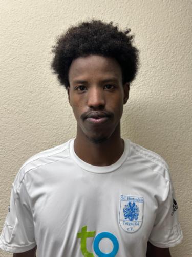 Abdullahi Yusuf Haile