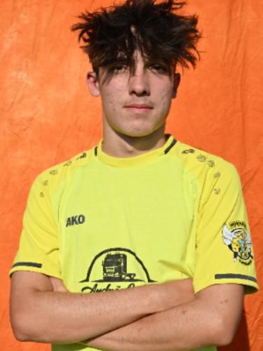 Louis Brooklyn Horwedel