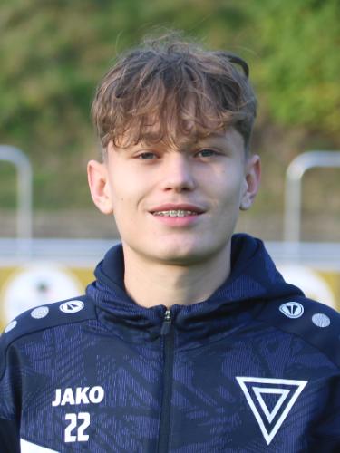 Vilho Johannes Ehrich