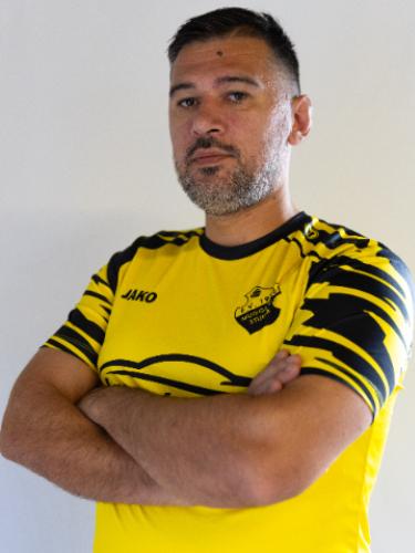 Alexandru Bajdechi