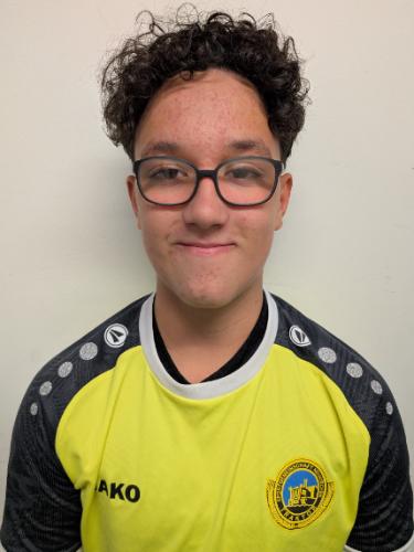 Mika Henry Beyerlein