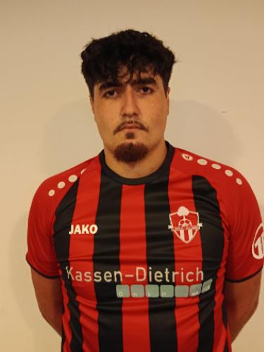 Denis-Mario Postolache