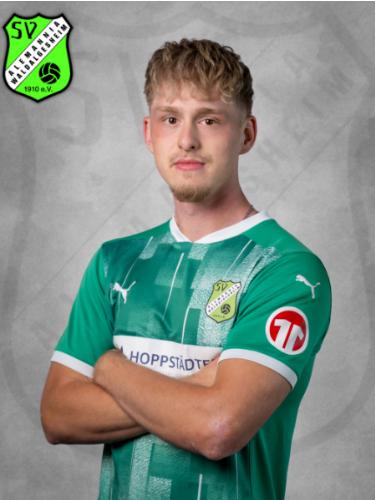 Vincent Henrik Johann Zimmermann