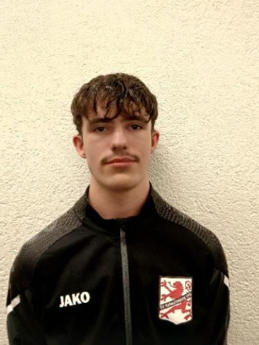 Niklas Dominic Menke