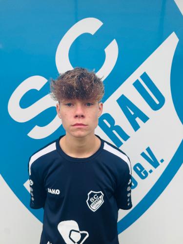 Vincent Henri Friedrich