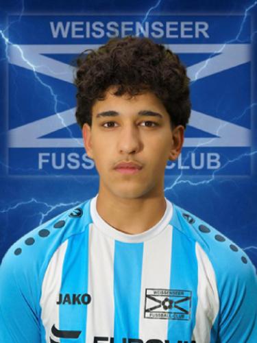 Arjun-Domenic Petrich