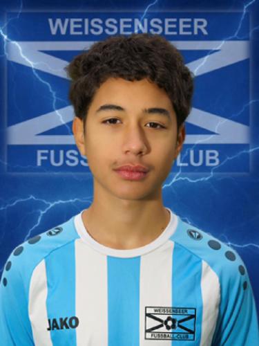 Metin Birol Soyarslan