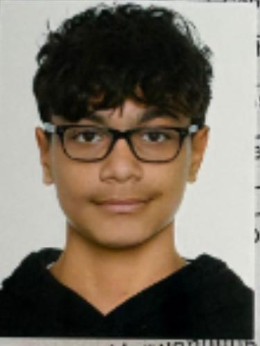 Ünal Güney Sögüt