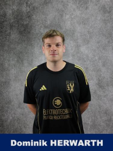 Dominik Herwarth