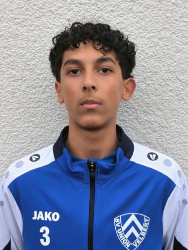 Ilia Nikolaev Dimitrov