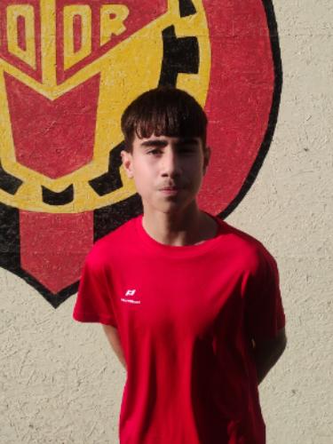 Mohammad Ehsan Ahmadi