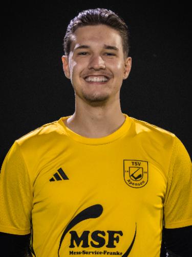 Julian Louis Langkawel