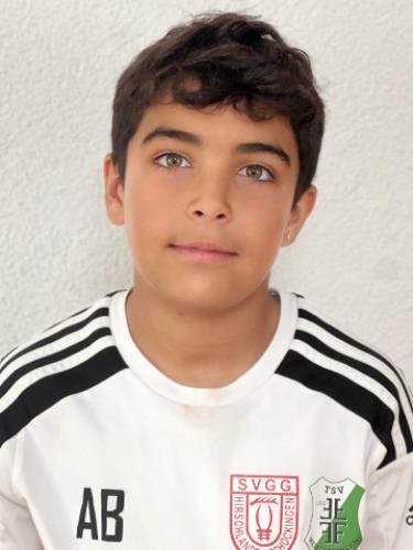Bozkurt Aras