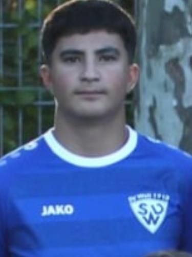 Emre Aydin