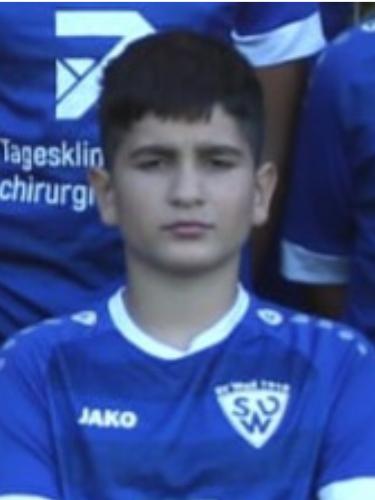 Gavrilo Milicevic