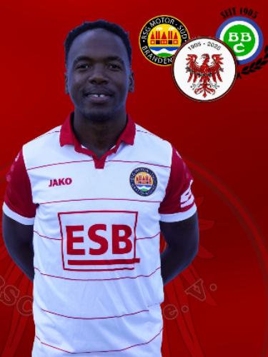 Wandile Brice Dlamini