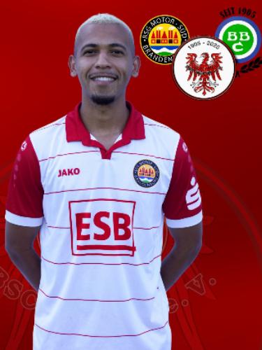 Joaquim Ribeiro De Sousa