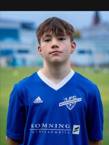 Willi Alexander Reinelt