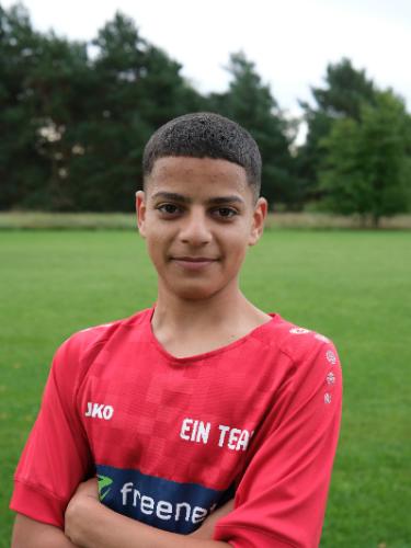 Ezzaldin Tamer Osman