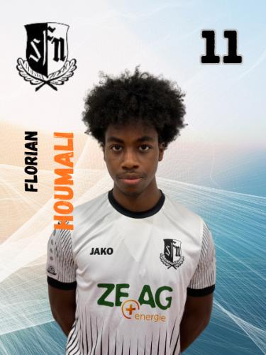 Florian Chinedu Basil Houmali