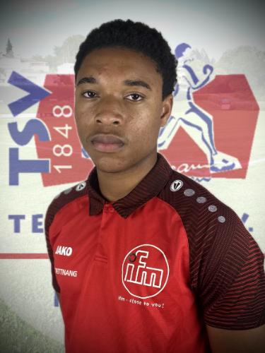 Joseph Irabor Aigbedion