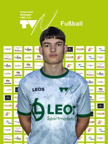 Sebastian Harald Freidel