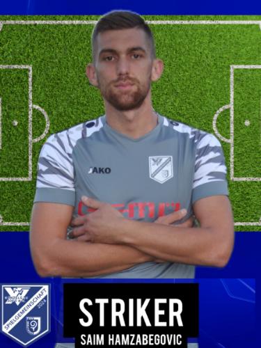 Saim Hamzabegovic