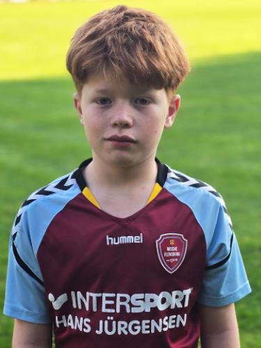 Emil Heinrich Wehberg