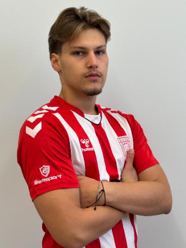 Theo Halici