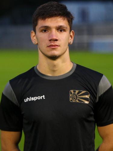 Grigorie-Robert Visan