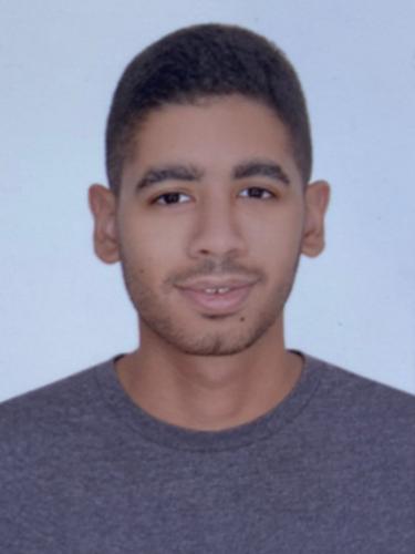 Muhammad Tarek Morsy Abdelhafez