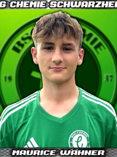 Maurice Otto Wähner