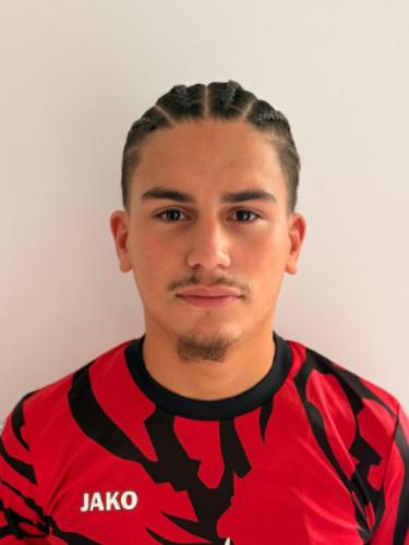 Ahmet Sahin