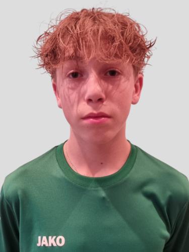 Hannes Hermann Josef Goedde-Menke