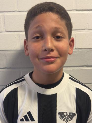 Boban Radosaviljevic