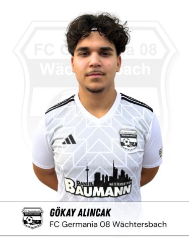 Goekay Alincak